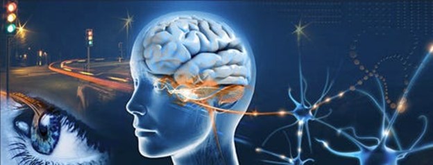 digital illustration of eye and brain